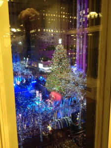 The Christmas tree all lit for the season!